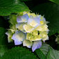 Asd   фото №1187735